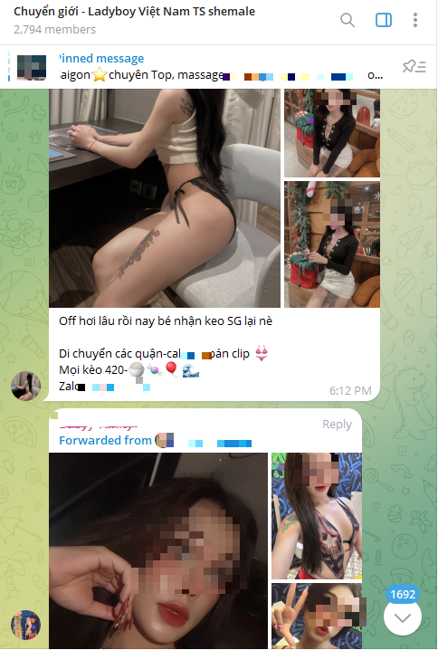 Nội dung trên các nhóm Gay Telegram